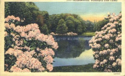 Flower State, Washington Postcard